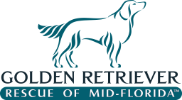 Golden Retriever Rescue of Mid-Florida