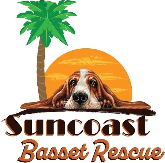 Suncoast Basset Rescue