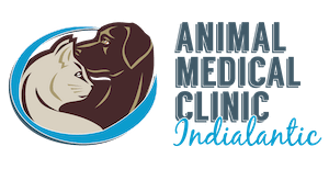 AMC-Indialantic AMC-Indialantic
