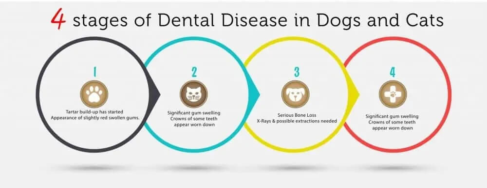 4-stages-of-dental-disease