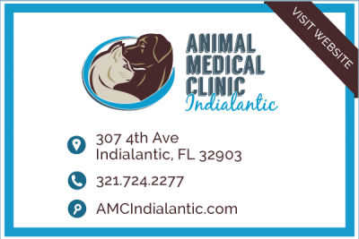 AMC Indialantic