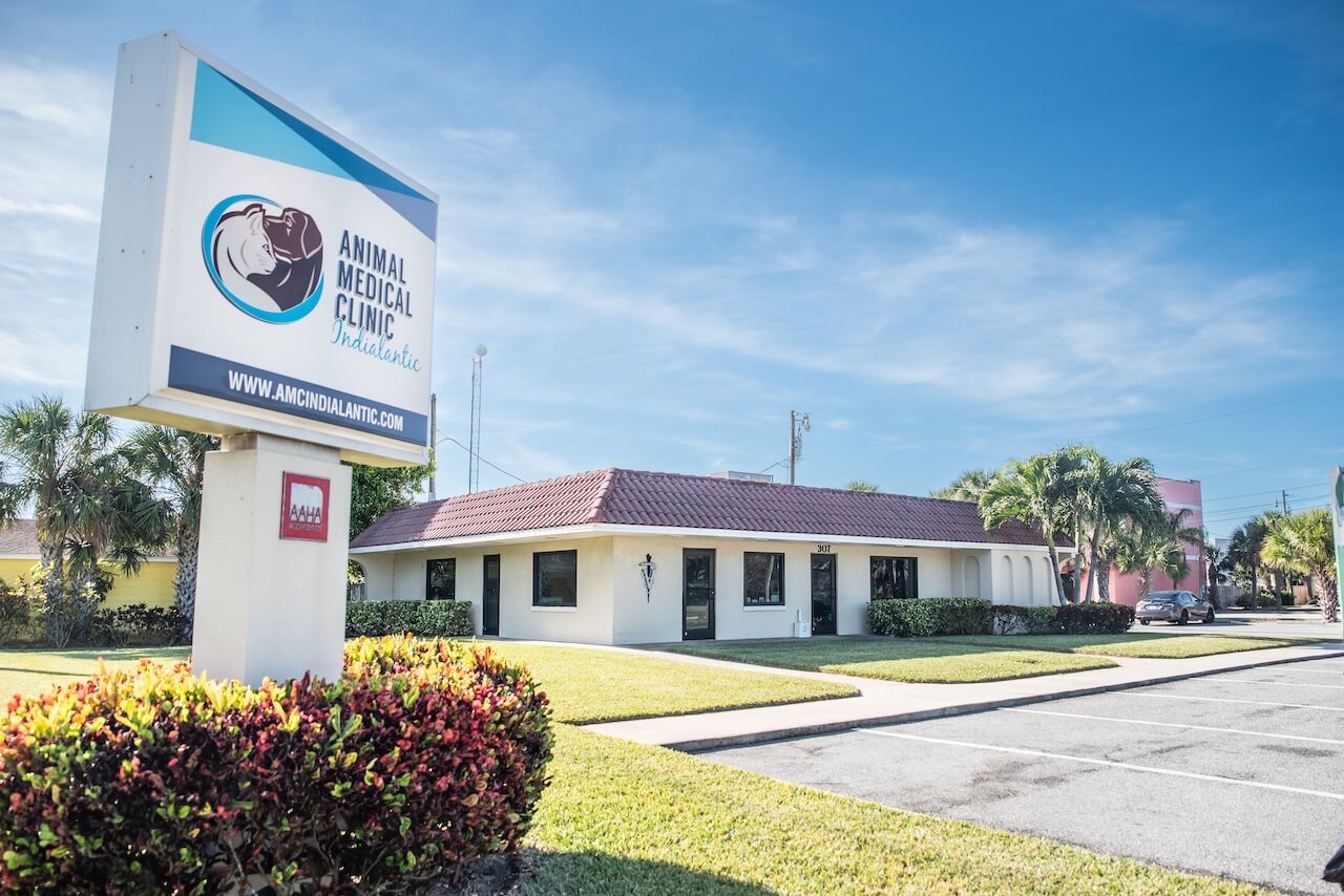 Animal Medical Clinic Indialantic