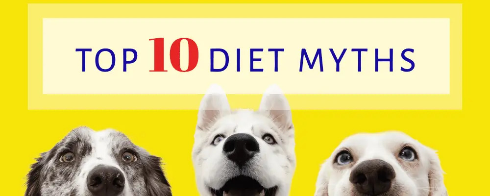 Top 10 Diet Myths