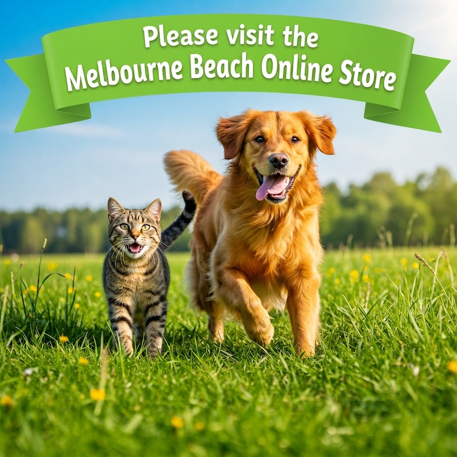 Melbourne Beach Online Store