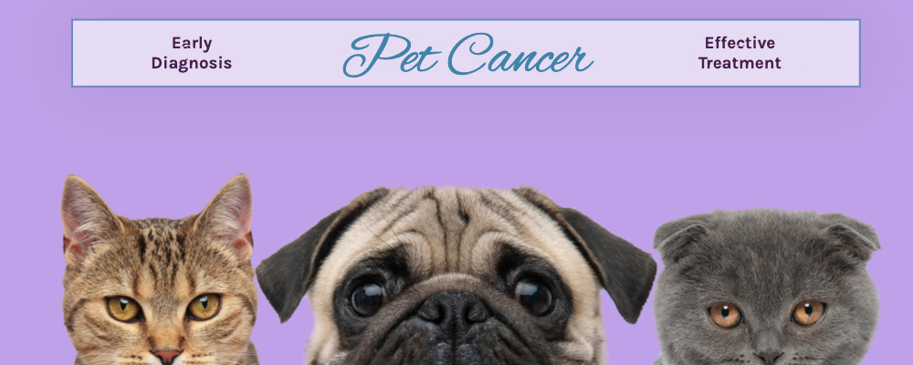 Pet cancer slider