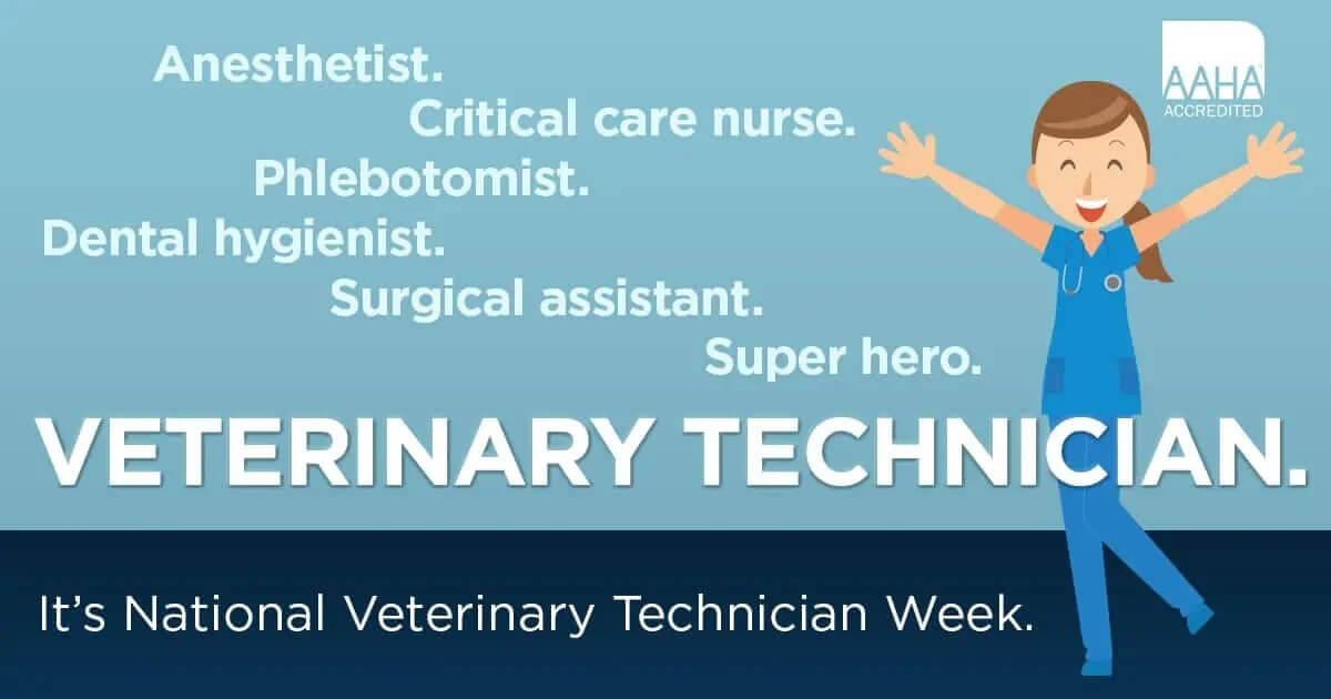 POST_NationalVetTechWeek3