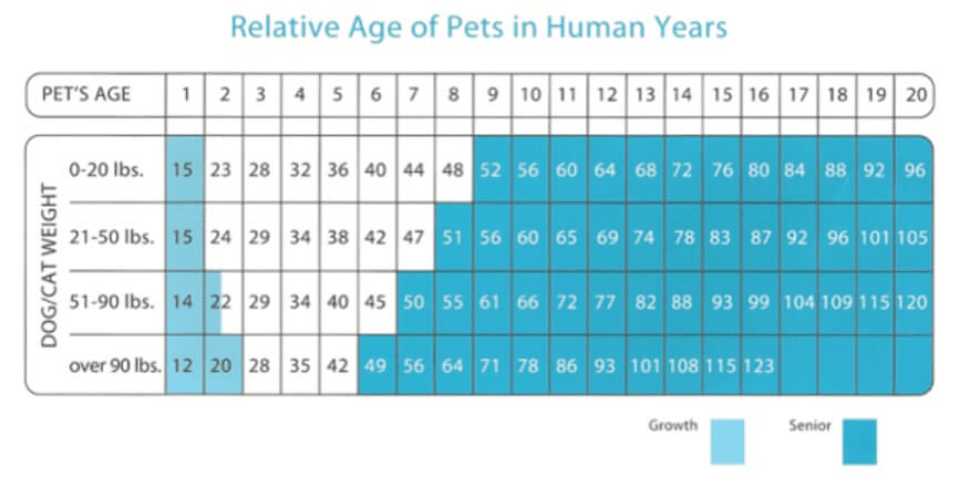 Senior-Pet-Chart