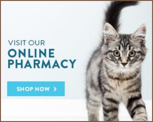 covetrus-cat-online-store