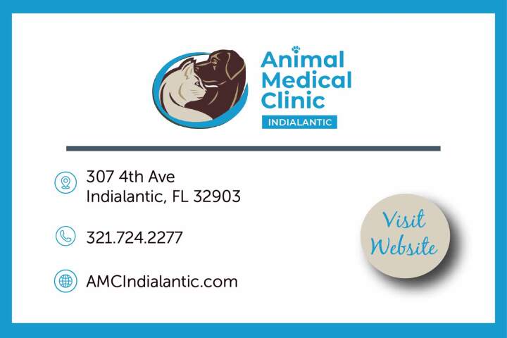 AMC Indialantic