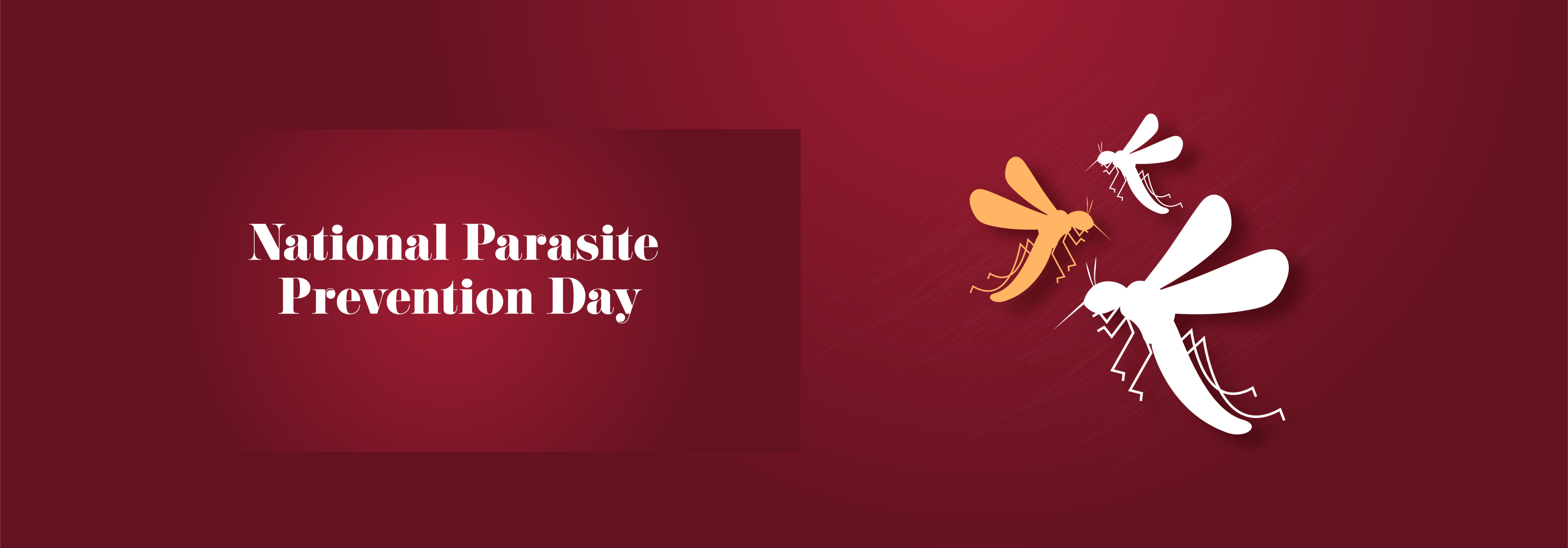 parasite