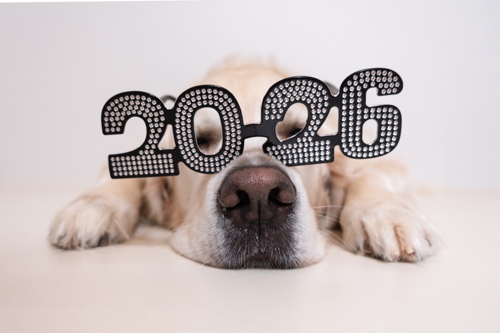 2026