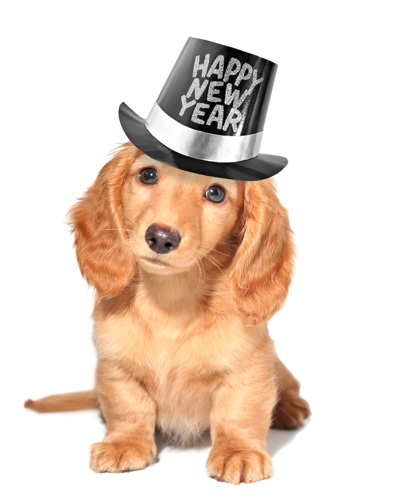New year