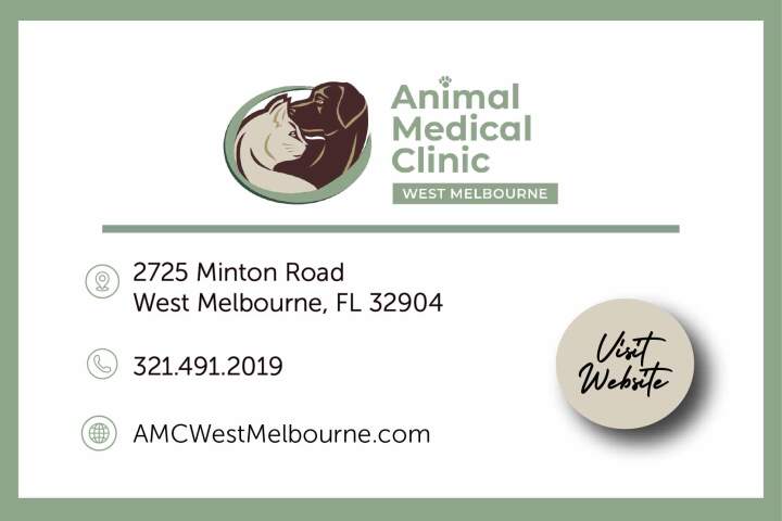 AMC West Melbourne