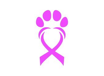 Hope, Support, and Next Steps: Navigating a Pet Cancer Diagnosis